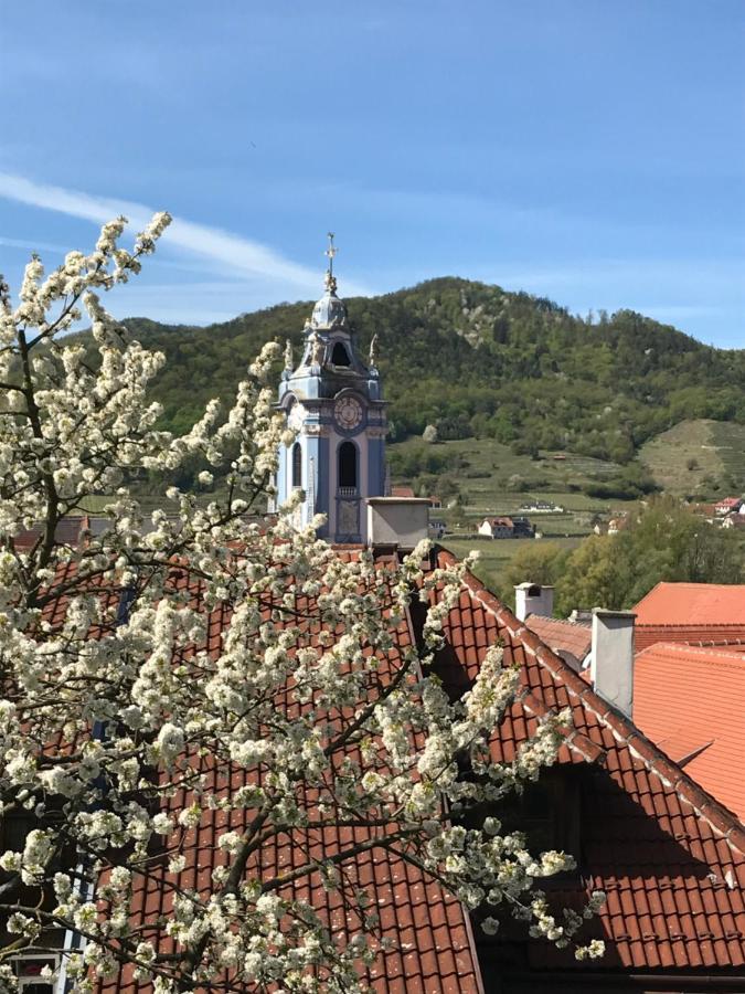 Pension Altes Rathaus 杜伦斯坦 外观 照片